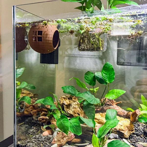 Floating Betta House Aquarium Floating Betta Hideout Floating House For Betta Aquarium Betta Hammock For Relax & Explore