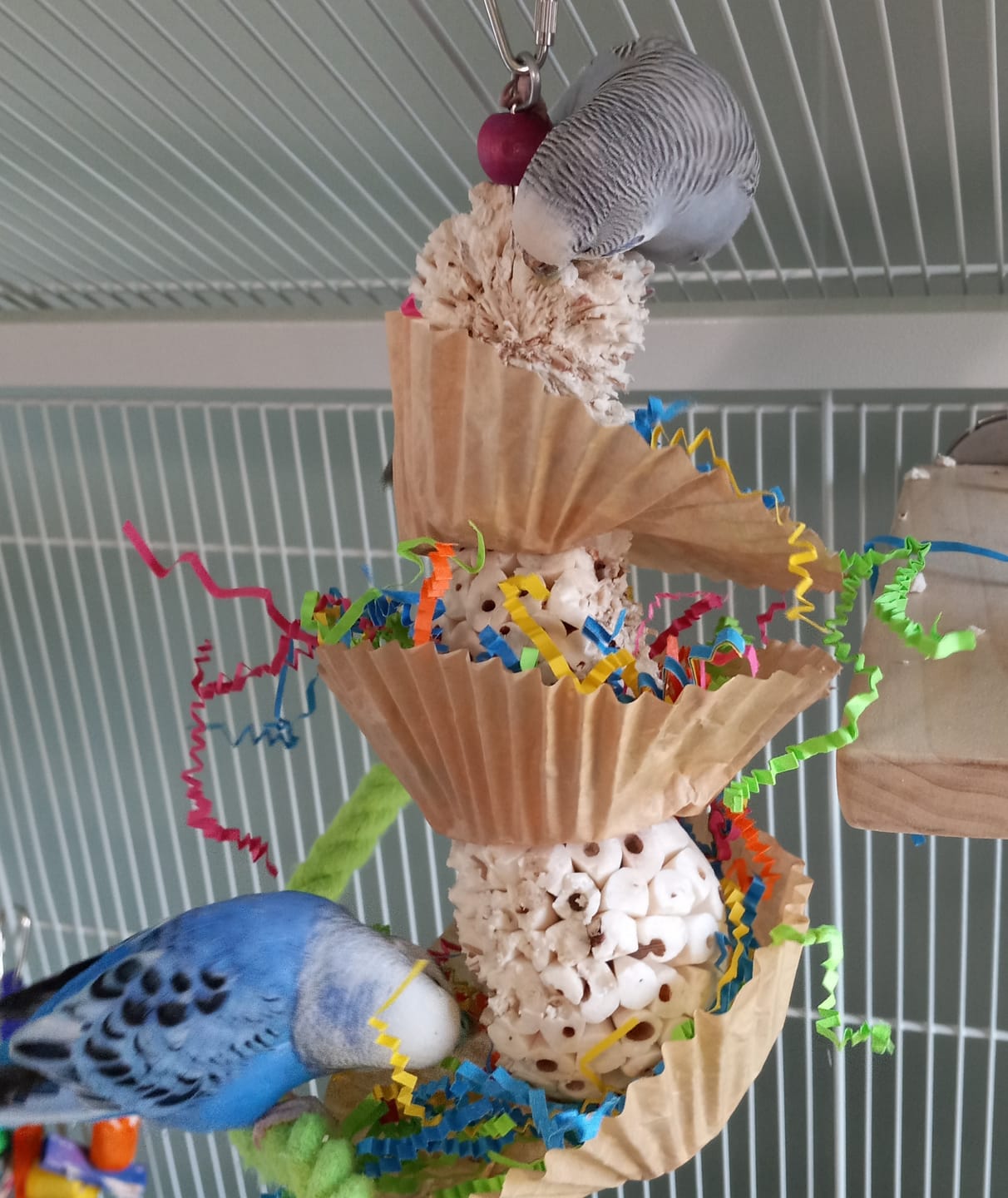 Triple Scoop Bird Toy – Foraging & Chew Toy for Parrots Cockatiels & Conures